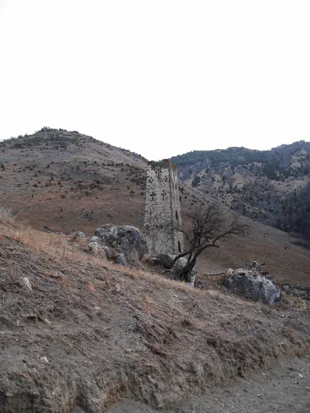 イングーシ共和国の塔があります。古代の建築と遺跡 — ストック写真