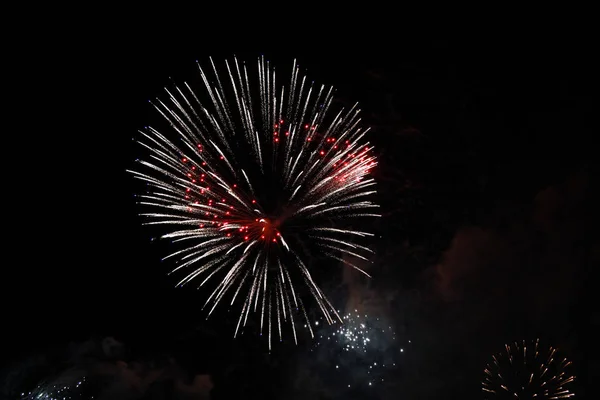 Celebration firework in the black night sky — Stock Photo, Image