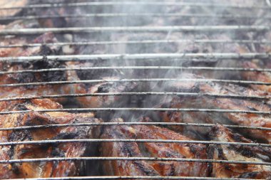 şenlik ateşi ve kömürlerin üzerinde kızarmış Barbekü