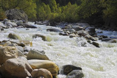Kanyonda akan nehir vahşi dağ