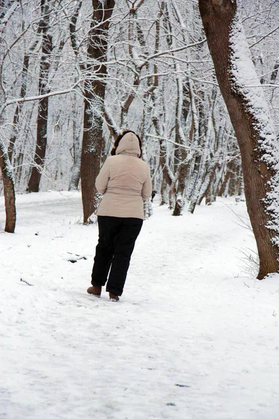 Kış parkında tek başına yürüyen kadın — Stok fotoğraf