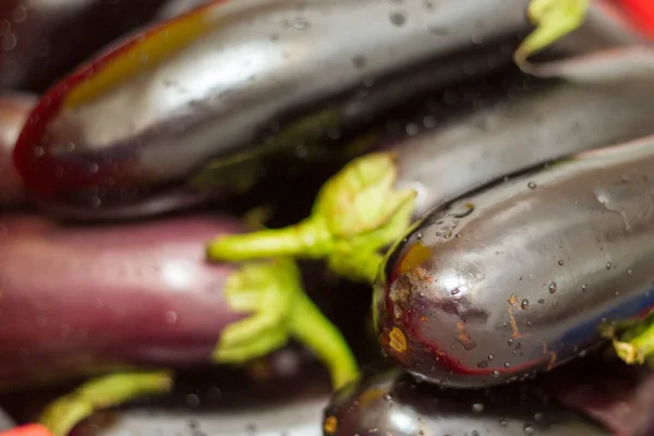 A harvest of fresh black eggplant with stems and water drops closeup, healthy food