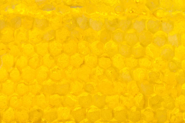 Panal amarillo bajo miel fresca — Foto de Stock