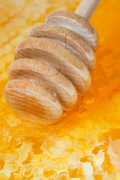 Pau de mel de madeira na superfície do favo de mel — Fotografia de Stock