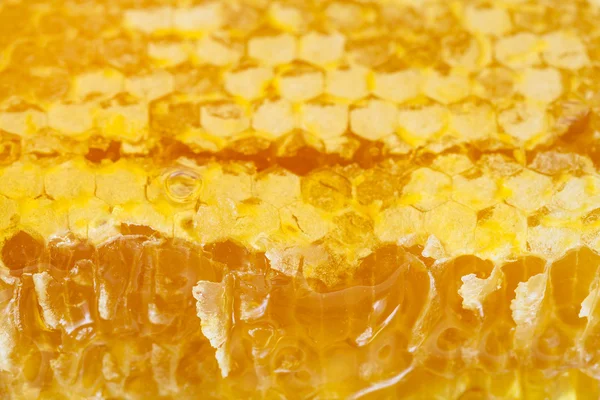 Tört friss méhsejt mézzel — Stock Fotó