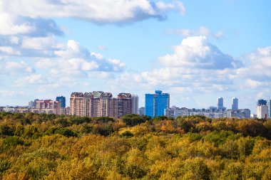 Sarı ve yeşil ağaç üstleri ve sonbahar manzarası