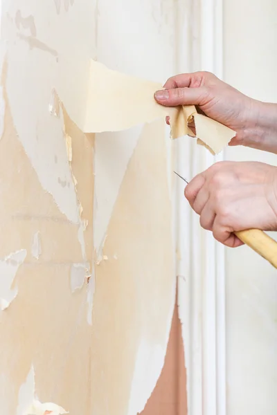 Removing of wallpaper backing from the wall — Stockfoto