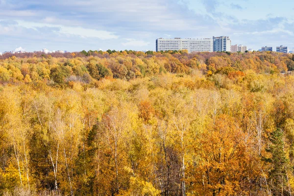 Foresta gialla e casa appartamento urbano in autunno — Foto Stock