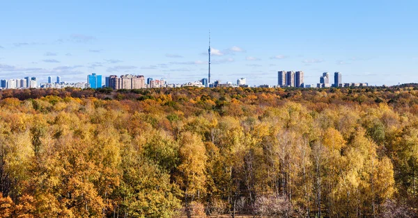 Yellow autumn woods and city with tv tower — Stockfoto