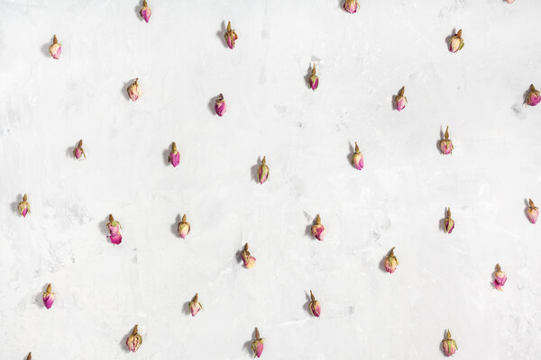 pink rose flower buds on gray concrete board