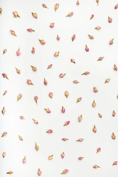 Dried rose flower buds on white paper background — Stockfoto