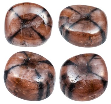 çeşitli Chiastolite (Andalusite) mineraller kümesi