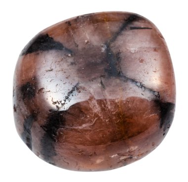 taş izole cilalı Chiastolite (Andalusite)