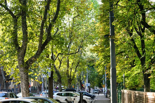 Groene straat in de stad Bologna — Stockfoto