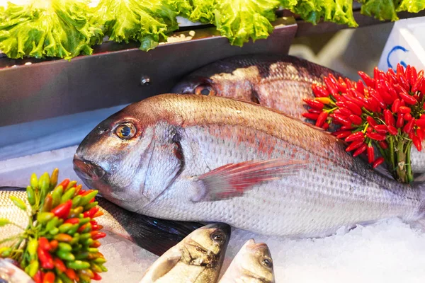 Fresh fish on ice in market in Venice city — Stock Photo, Image