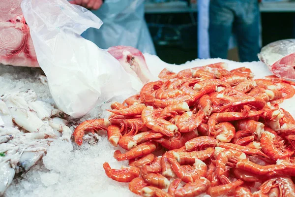 Garnalen op ijs in markt in Venetië stad — Stockfoto