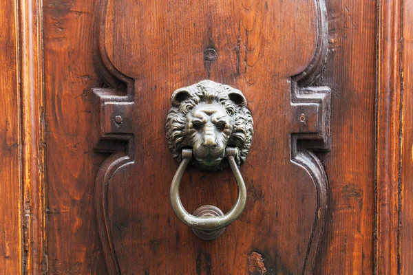 Lion head knocker on old wooden door in Florence — Stock Photo, Image