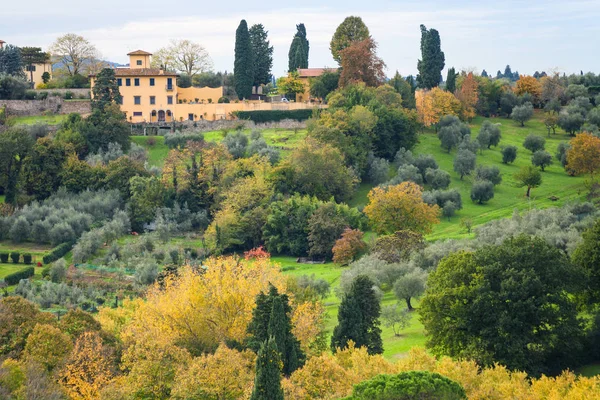 Zelené a žluté zahrady v předměstí Florencie — Stock fotografie