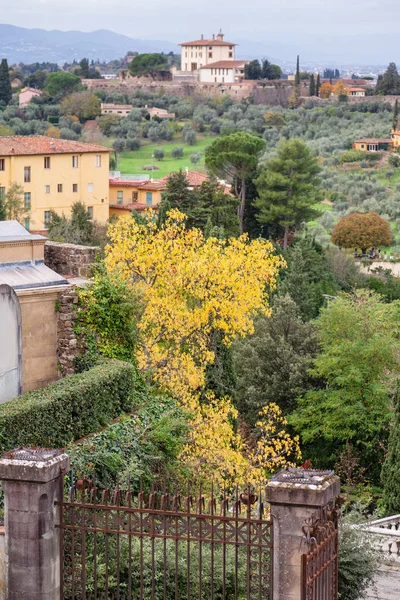 Grün und gelb blühende Nachbarschaft im Herbst — Stockfoto