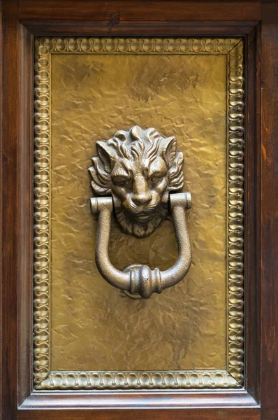Lion head knocker on brass panel of wooden door — Stock Photo, Image