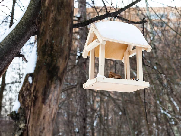 Годівниця для птахів на гілці дерев у міському парку взимку — стокове фото