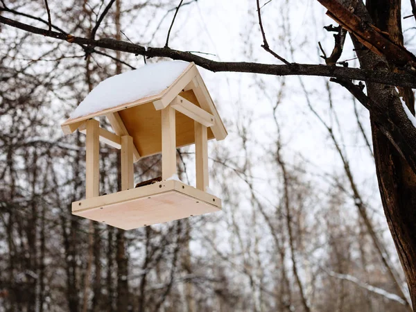 Alimentador de aves en la rama del árbol en el bosque en invierno — Foto de Stock