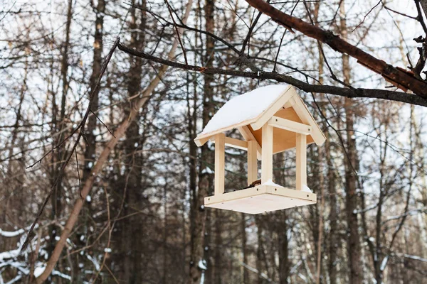 Vogelhuis/waterbak op de vertakking van de beslissingsstructuur in het bos in de winter — Stockfoto