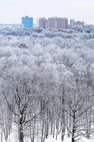 Case all'orizzonte e vista sui boschi nella neve — Foto Stock