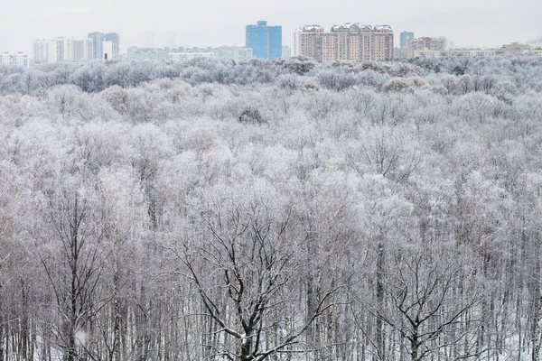 Stad en boven uitzicht op bos vallende sneeuw — Stockfoto