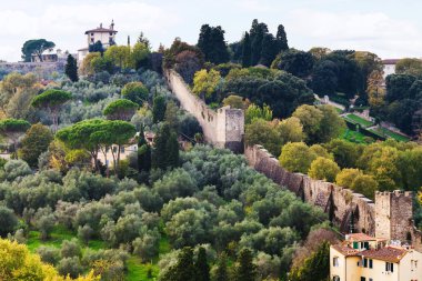 yeşil bahçeler ve Giardino Bardini duvarına görünümü
