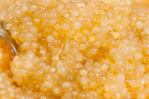 パイクの魚の塩味の黄色いキャビアの表面 — ストック写真