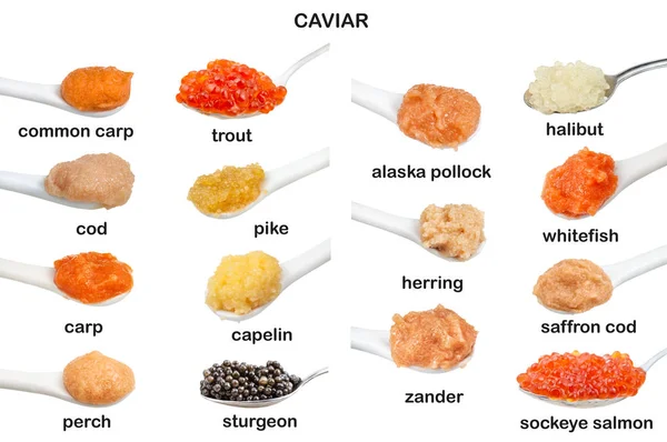 Set de cucharas con caviar en escabeche con nombres —  Fotos de Stock