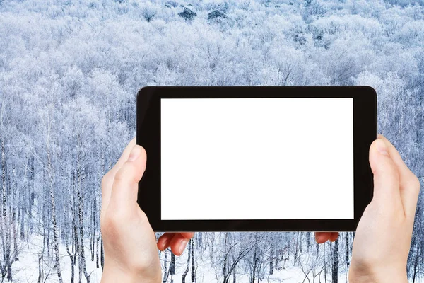 Tableta con pantalla cortada y bosque congelado — Foto de Stock