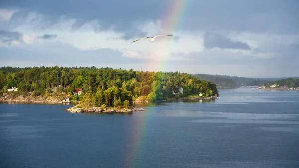Racek a rainbow přes zelené pobřeží Baltského moře — Stock fotografie