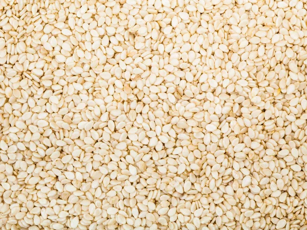 Muchas semillas de sésamo blanco — Foto de Stock