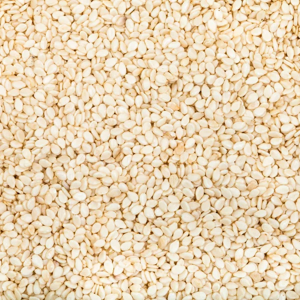 Bliska wielu białego sezamu — Zdjęcie stockowe