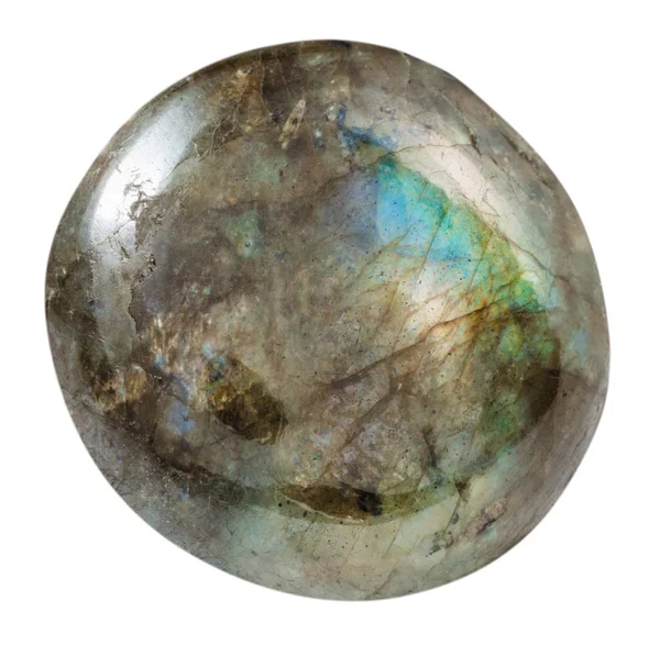 Tumbled labradorite gemstone isolated — Stock Photo, Image