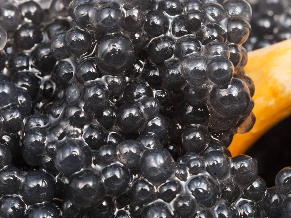 Svart kaviar hälleflundra fisk med sked närbild — Stockfoto