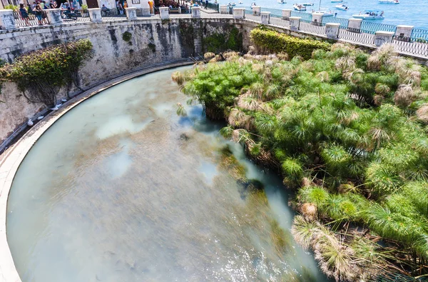 Vista superior de Fonte Arethusa en Siracusa — Foto de Stock