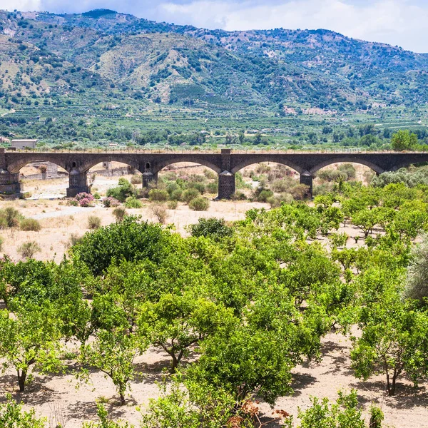 Jardín de cítricos en el valle del río Alcántara en Sicilia — Foto de Stock