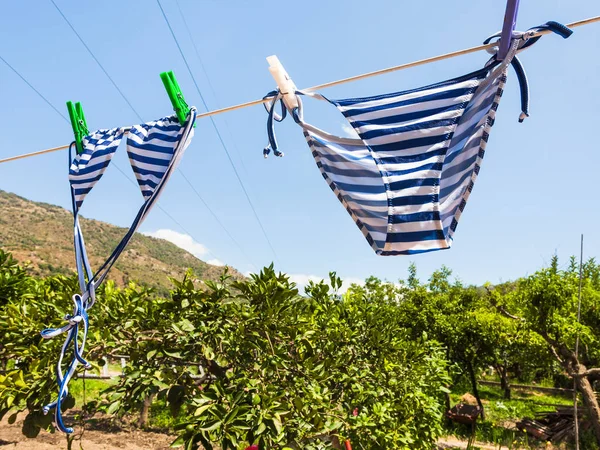 Zwemmen kostuums droog in citrustuin in Sicilië — Stockfoto