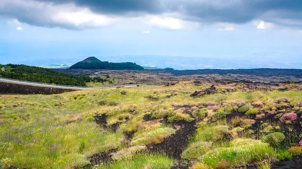 Begroeide vulkanische grond van de vulkaan Etna — Stockfoto