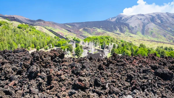 hardened lava flow on slope of Etna volcano
