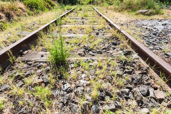 Chemin de fer rural envahi en Sicile — Photo