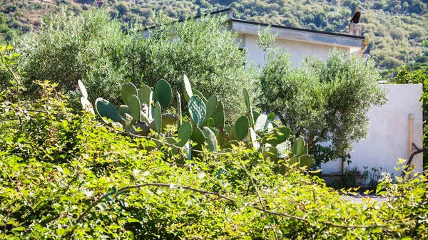 Сельский пейзаж с застройкой в Сицилии — стоковое фото
