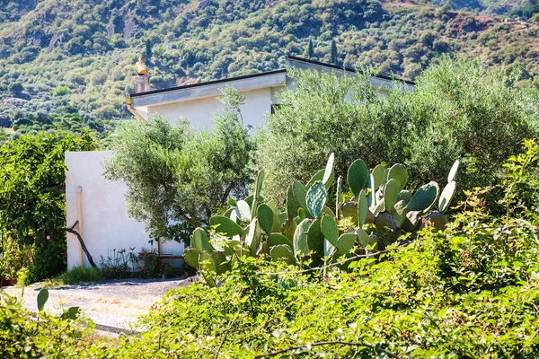 Kır evi Sicilya ile kırsal manzara — Stok fotoğraf