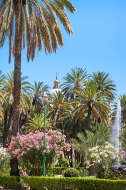 kamu bahçe Villa Bonanno Palermo şehrinde