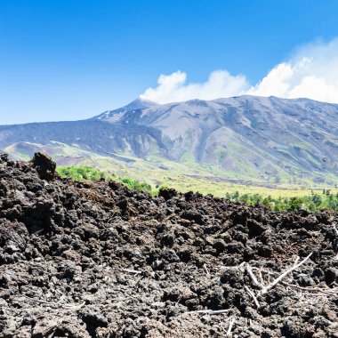 Etna yanardağı yamacında taşlaşmış lav görünümü