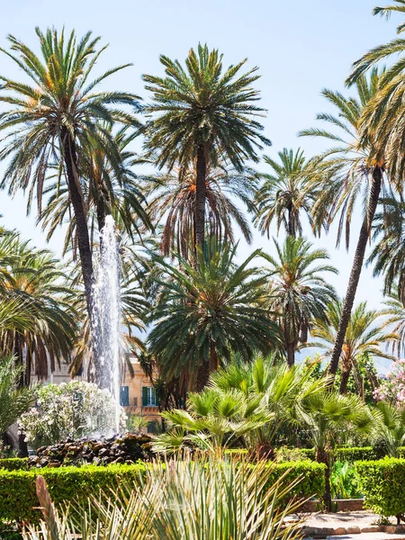 Groene palmen in openbare tuin Villa Bonanno — Stockfoto