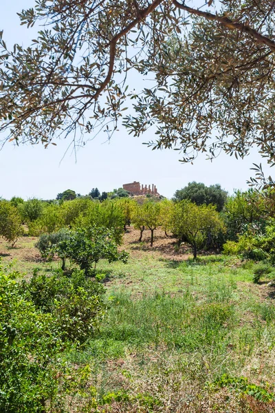 Vue sur les jardins verdoyants et ancien temple — Photo